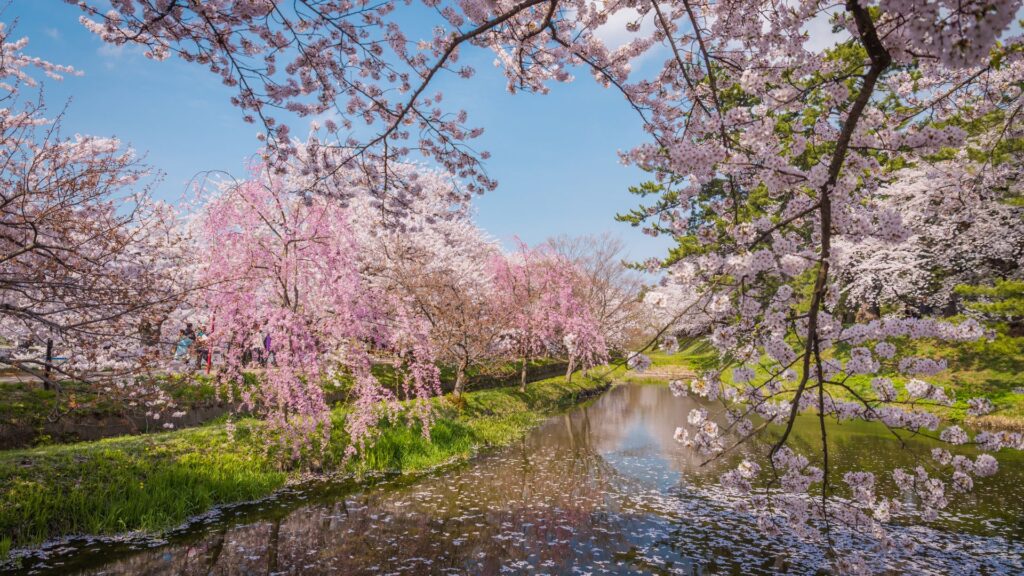 Most Beautiful Places in Japan